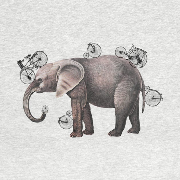 fantasy elephant by ysmnlettering